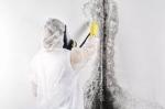 Mold Removal Wichita KS: Trusted Services by Christian Cleaning & Restoration